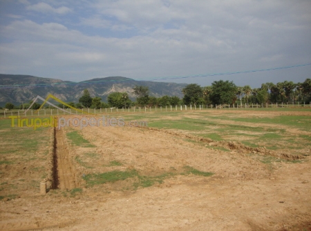 1) Open Plots for Sale in Yerpedu.JPG